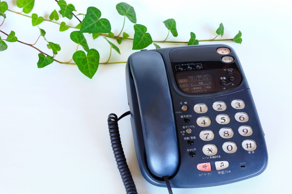 紺色の固定電話と植物